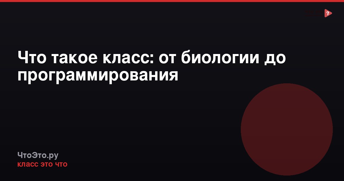Что такое класс: от биологии до программирования