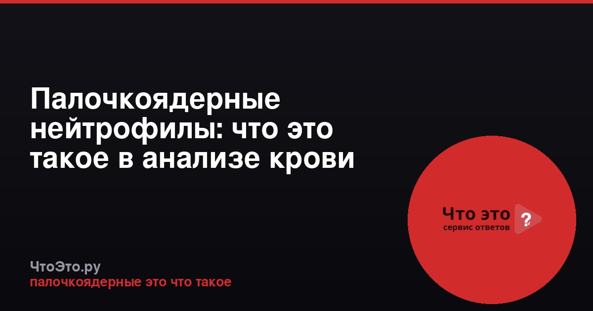 Палочкоядерные нейтрофилы: что это такое в анализе крови