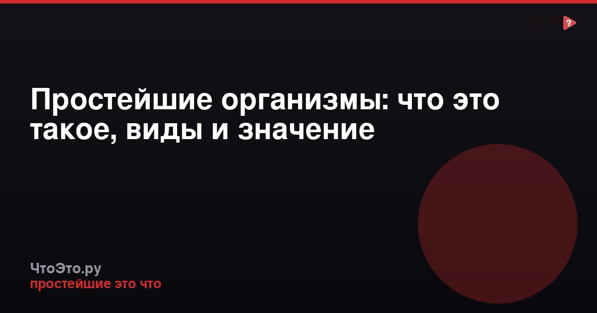 Простейшие организмы: что это такое, виды и значение