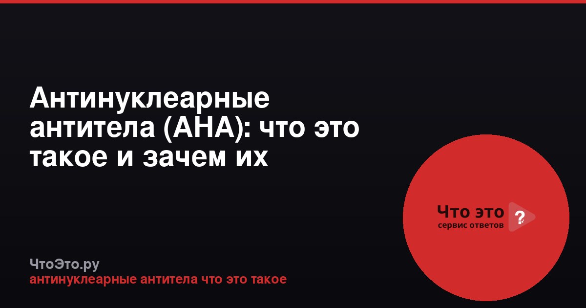 Антинуклеарные антитела (АНА): что это такое и зачем их определяют