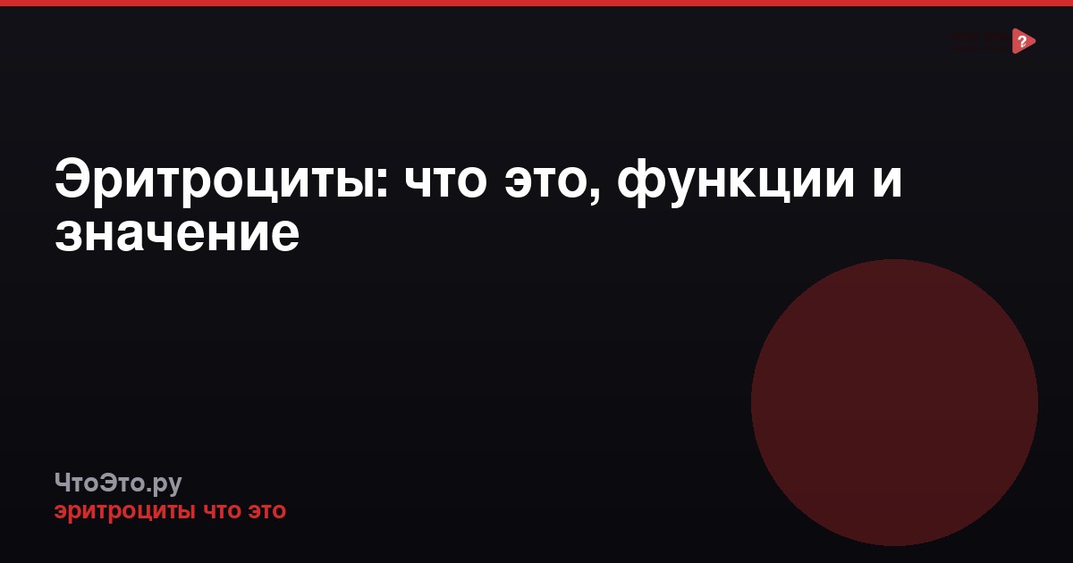 Эритроциты: что это, функции и значение