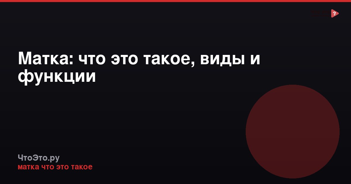 Матка: что это такое, виды и функции