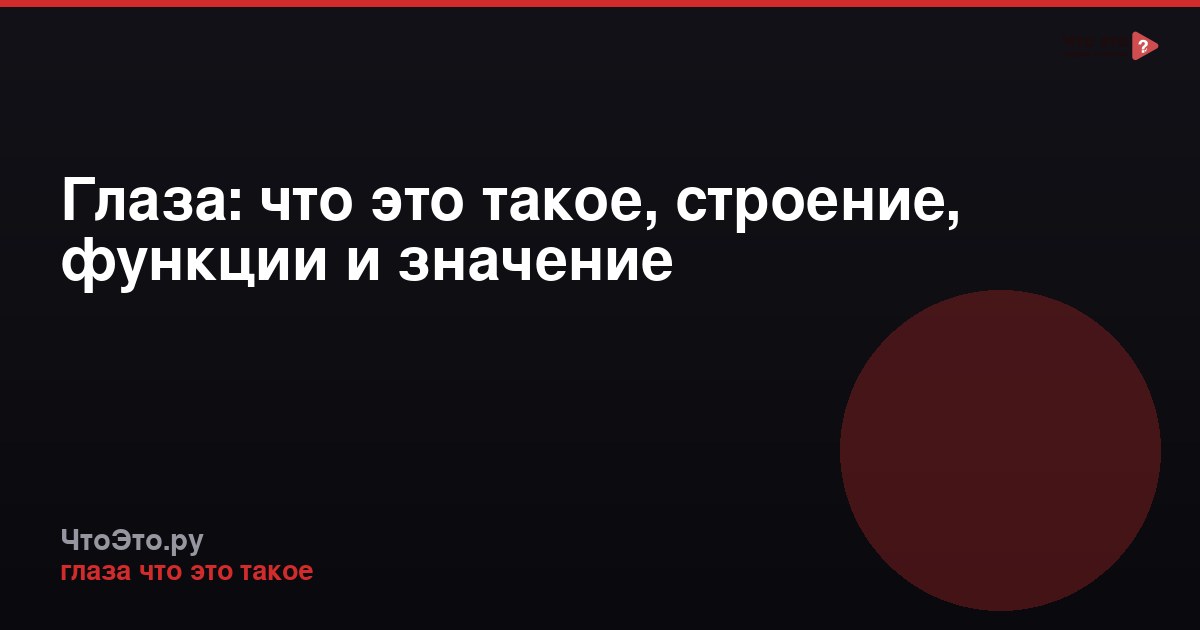 Глаза: что это такое, строение, функции и значение