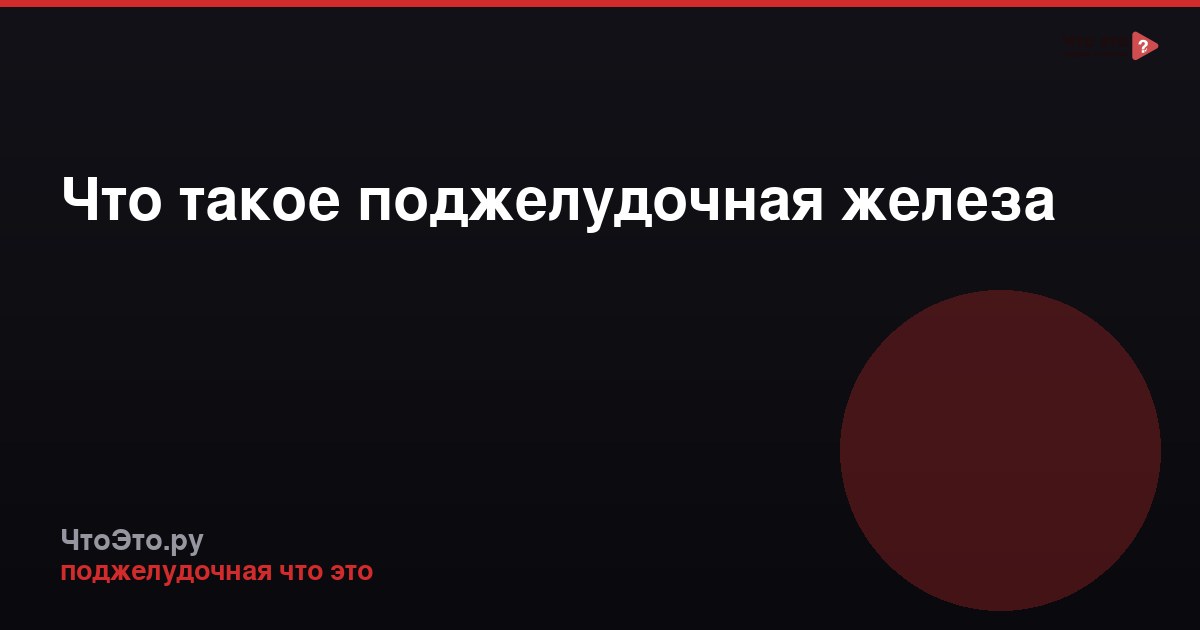 Что такое поджелудочная железа