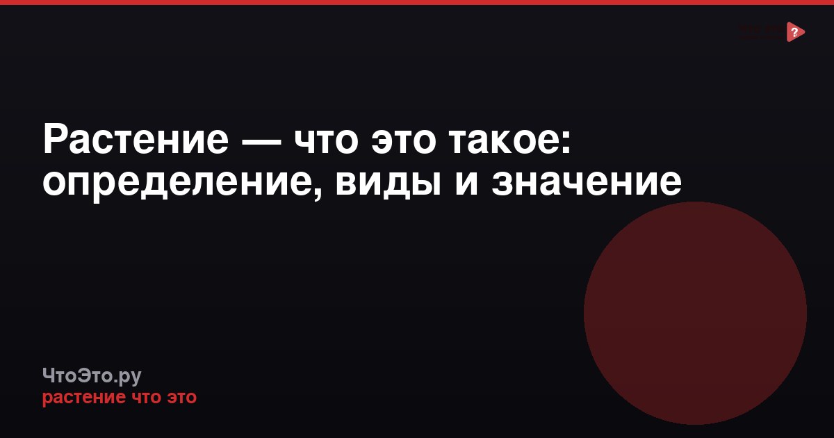Растение — что это такое: определение, виды и значение