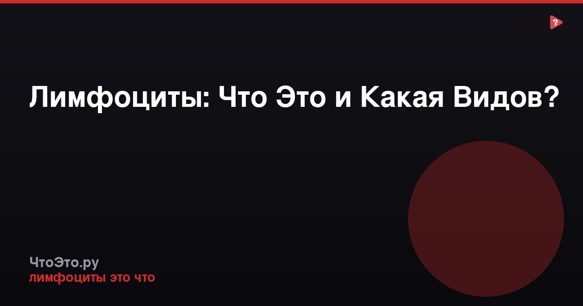 Лимфоциты: Что Это и Какая Видов?