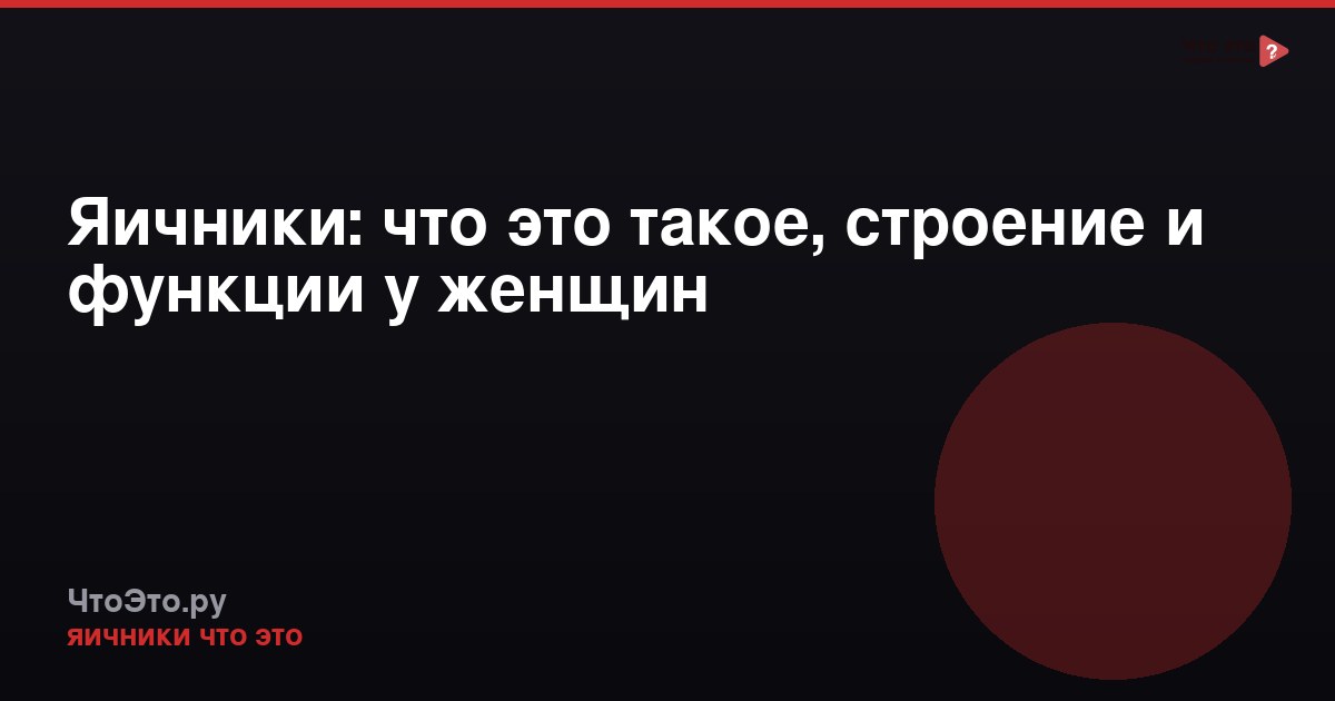 Яичники: что это такое, строение и функции у женщин