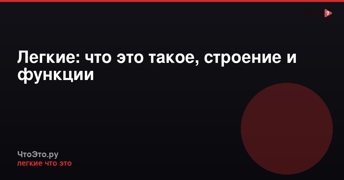 Легкие: что это такое, строение и функции