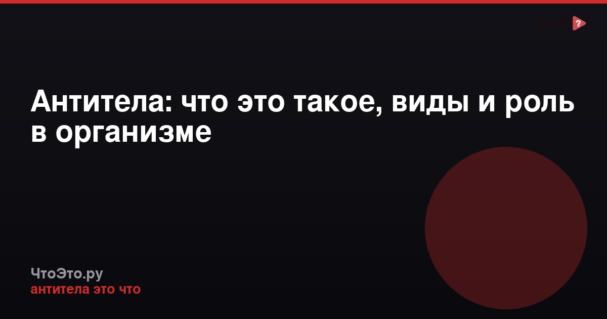 Антитела: что это такое, виды и роль в организме