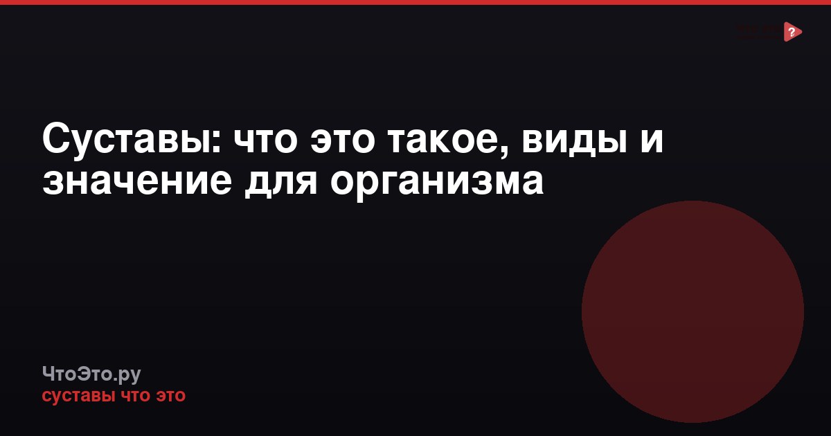Суставы: что это такое, виды и значение для организма