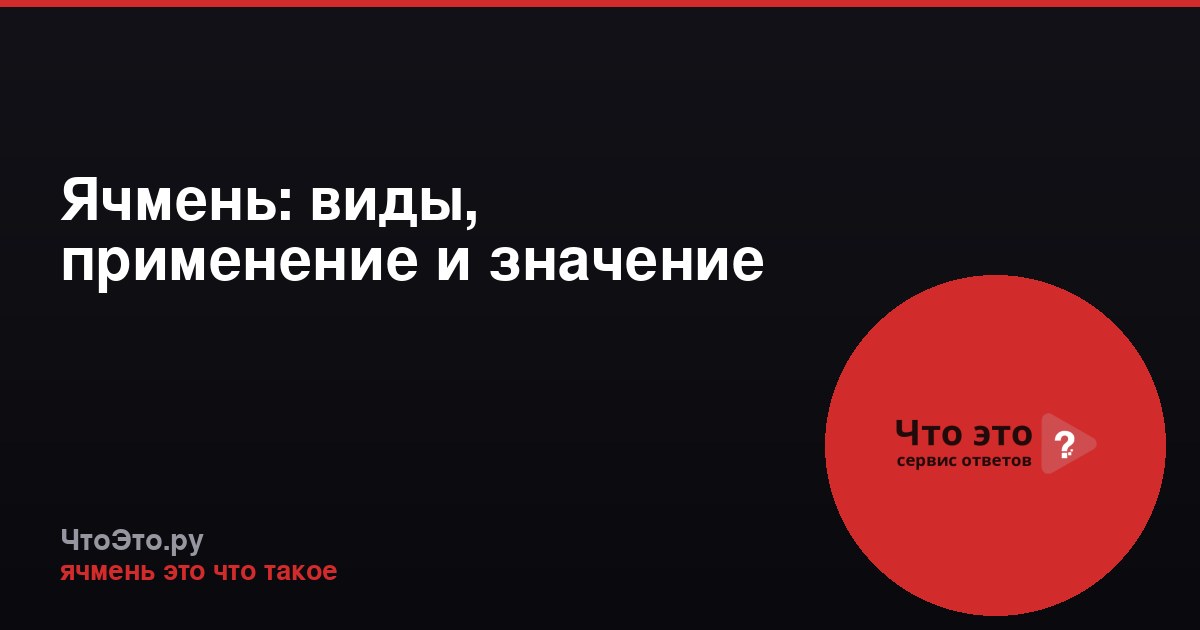 Ячмень: виды, применение и значение