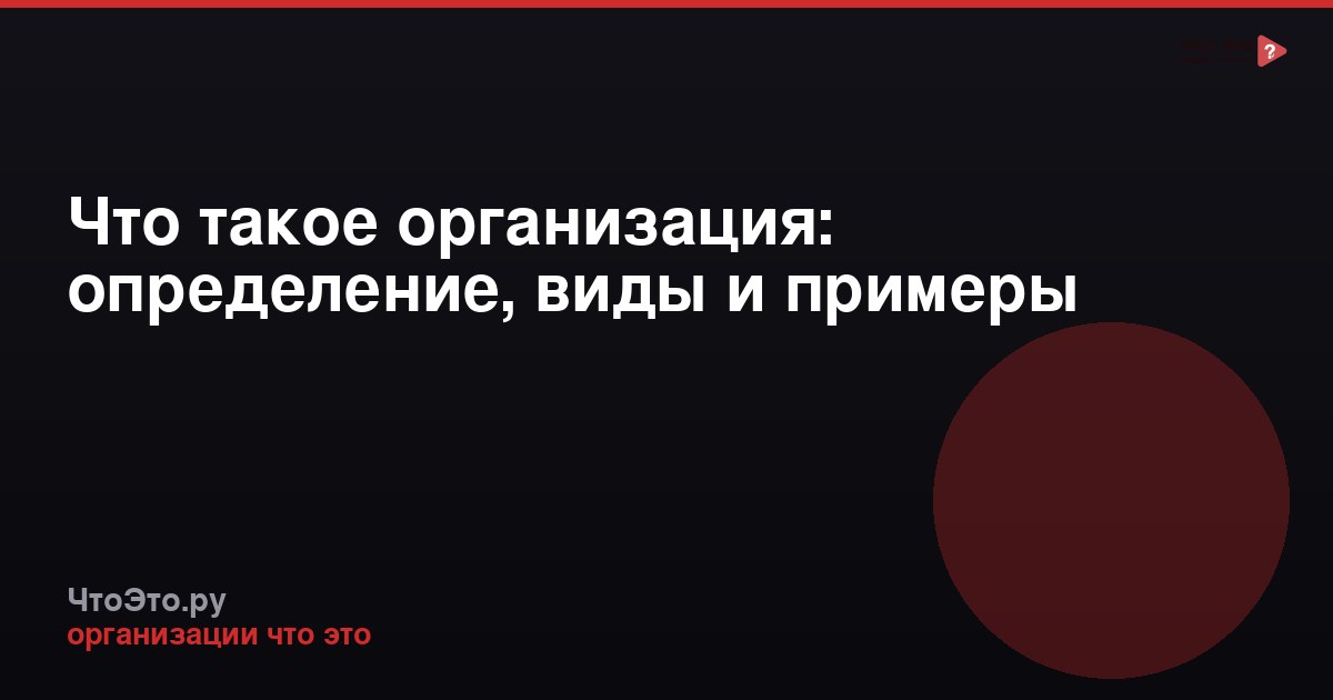 Что такое организация: определение, виды и примеры