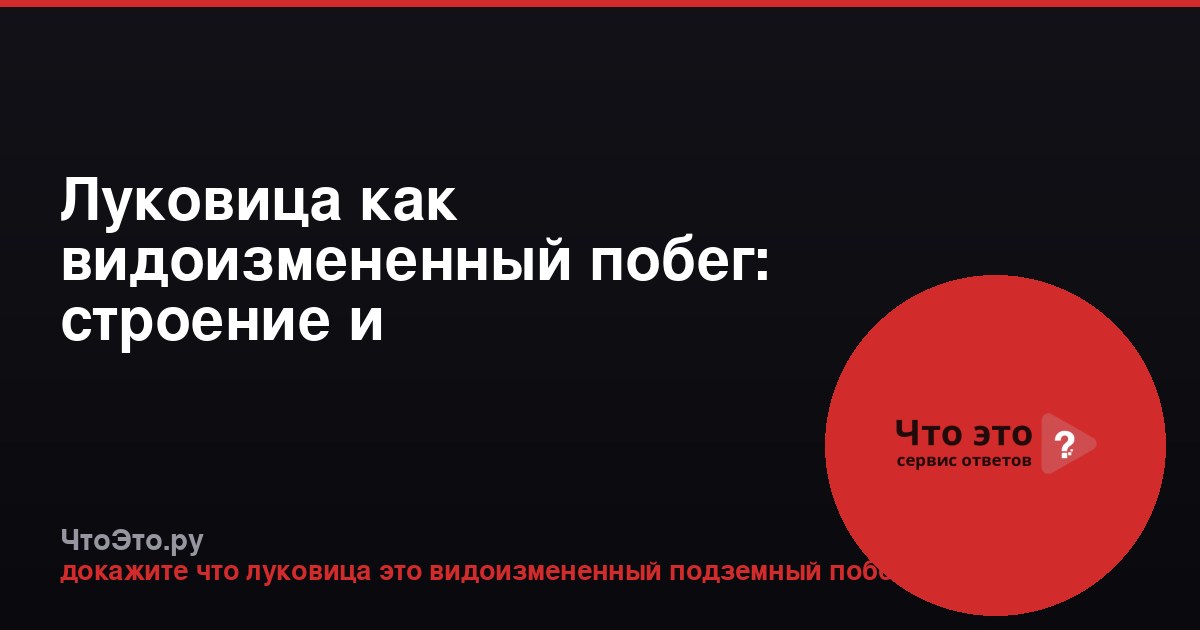 Луковица как видоизмененный побег: строение и доказательства