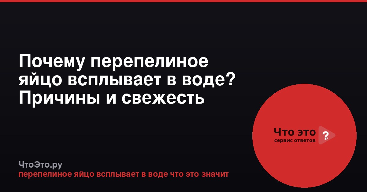 Почему перепелиное яйцо всплывает в воде? Причины и свежесть