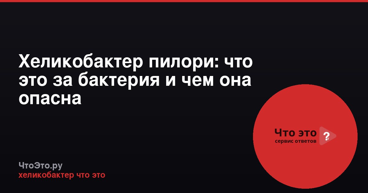 Хеликобактер пилори: что это за бактерия и чем она опасна