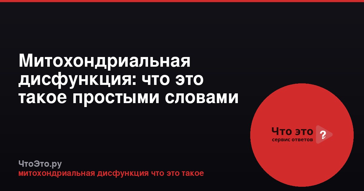 Митохондриальная дисфункция: что это такое простыми словами