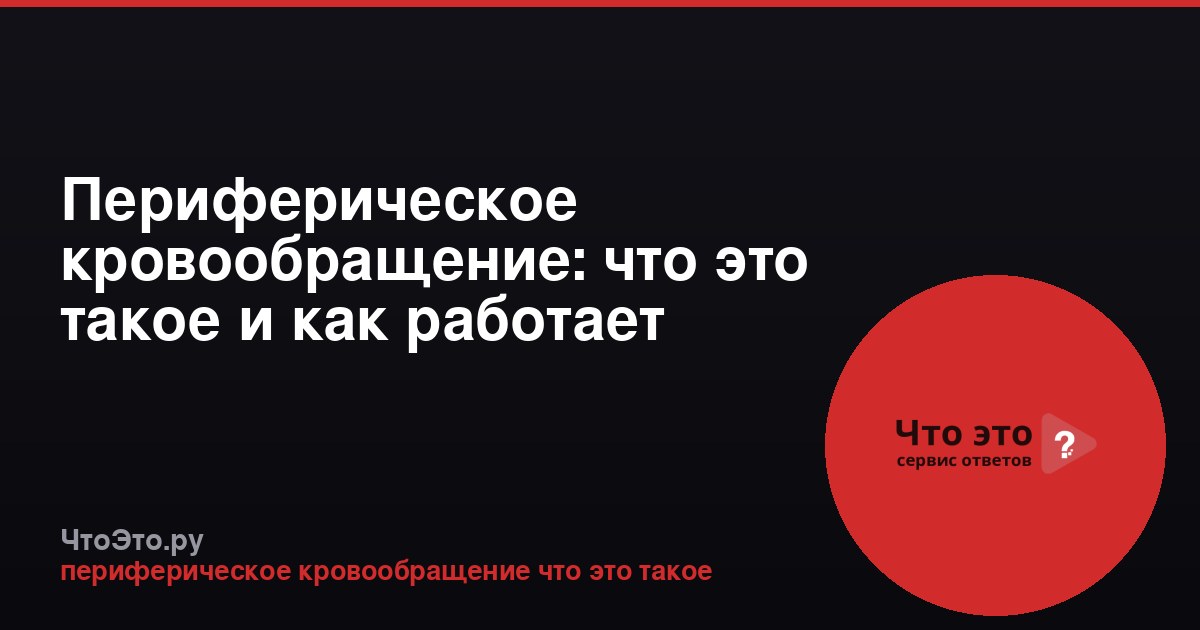 Периферическое кровообращение: что это такое и как работает