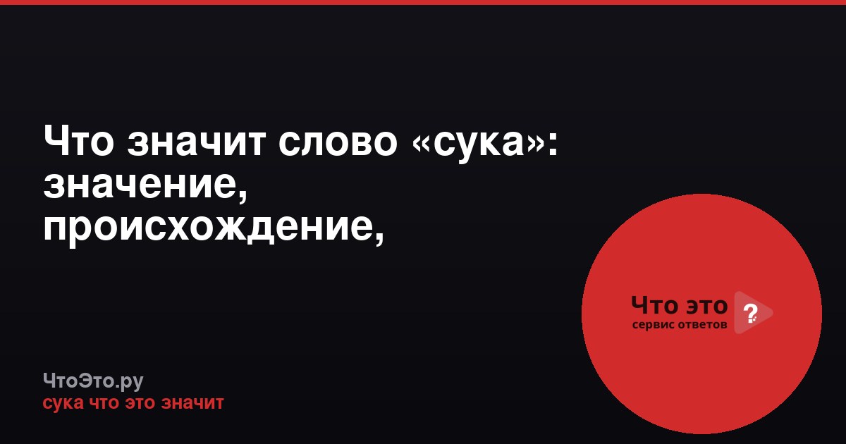 Что значит слово «сука»: значение, происхождение, употребление