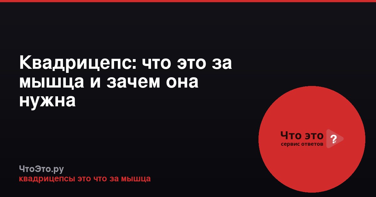 Квадрицепс: что это за мышца и зачем она нужна