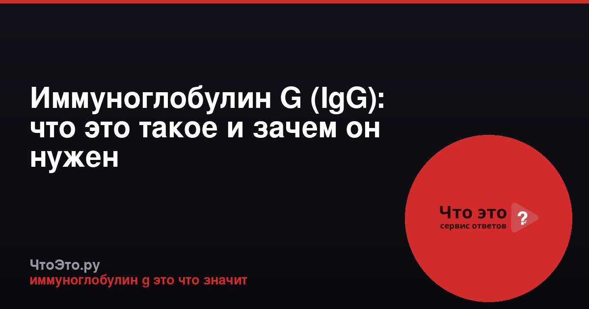 Иммуноглобулин G (IgG): что это такое и зачем он нужен