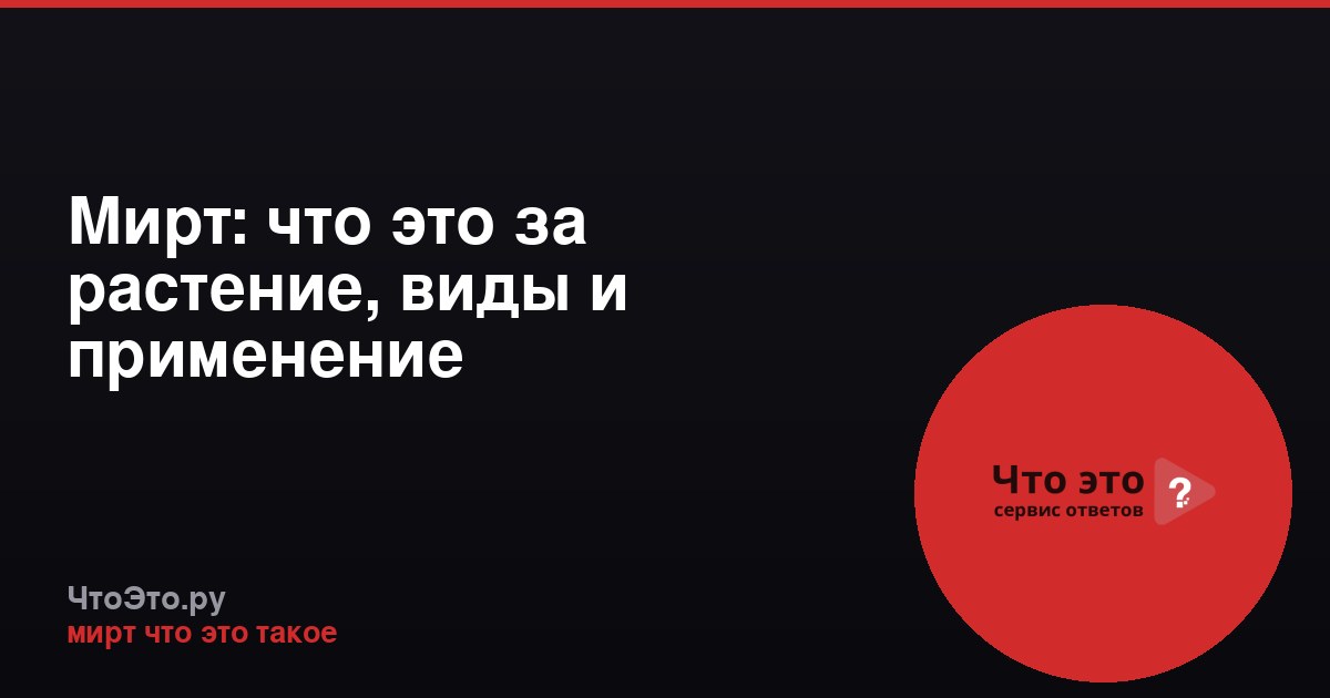 Мирт: что это за растение, виды и применение