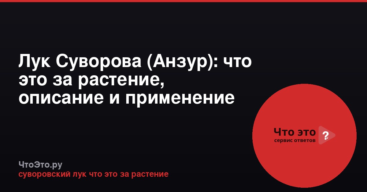 Лук Суворова (Анзур): что это за растение, описание и применение