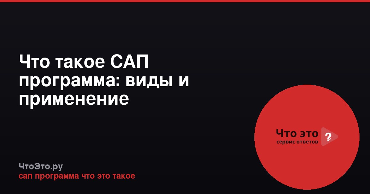 Что такое САП программа: виды и применение