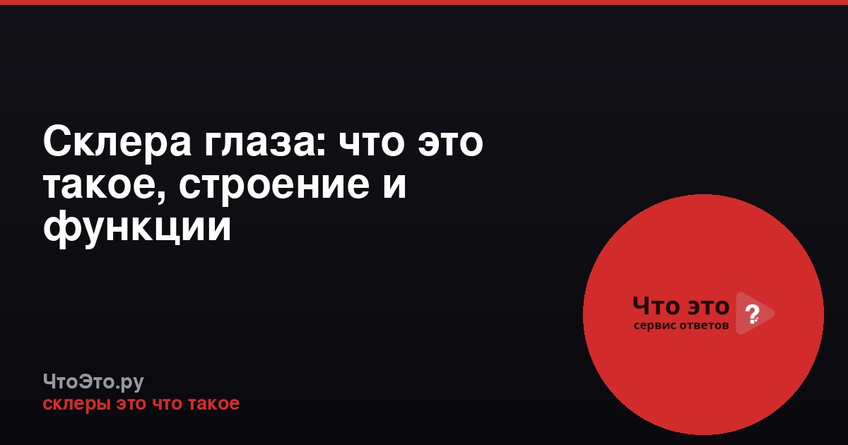 Склера глаза: что это такое, строение и функции