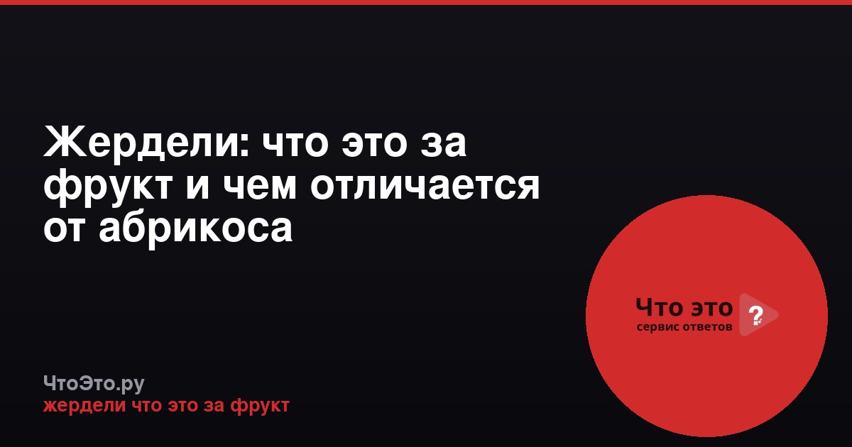 Жердели: что это за фрукт и чем отличается от абрикоса
