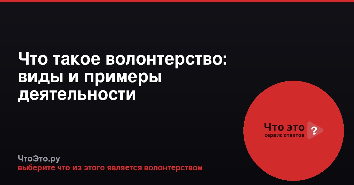 Что такое волонтерство: виды и примеры деятельности