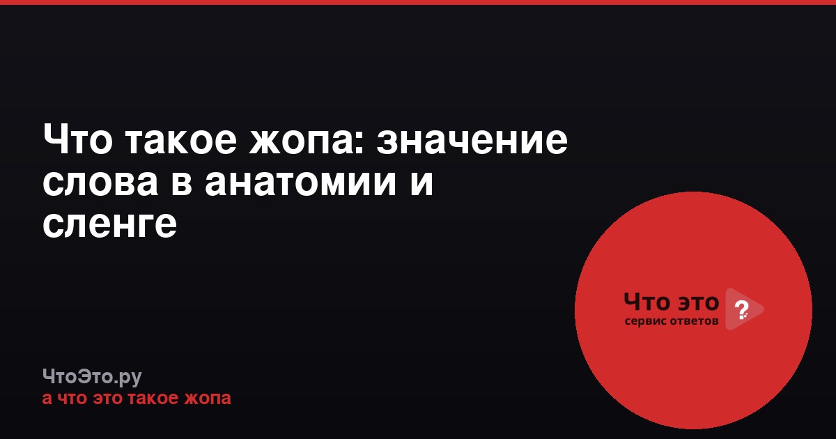 Что такое жопа: значение слова в анатомии и сленге