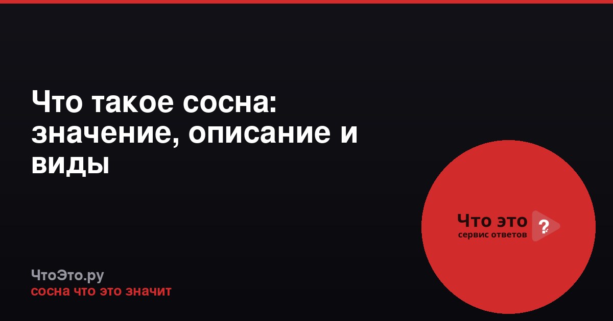 Что такое сосна: значение, описание и виды