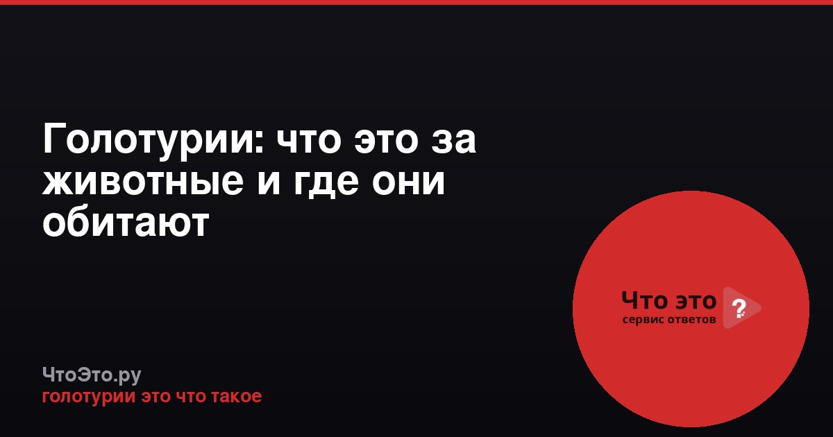 Голотурии: что это за животные и где они обитают