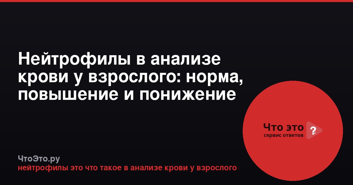 Нейтрофилы в анализе крови у взрослого: норма, повышение и понижение