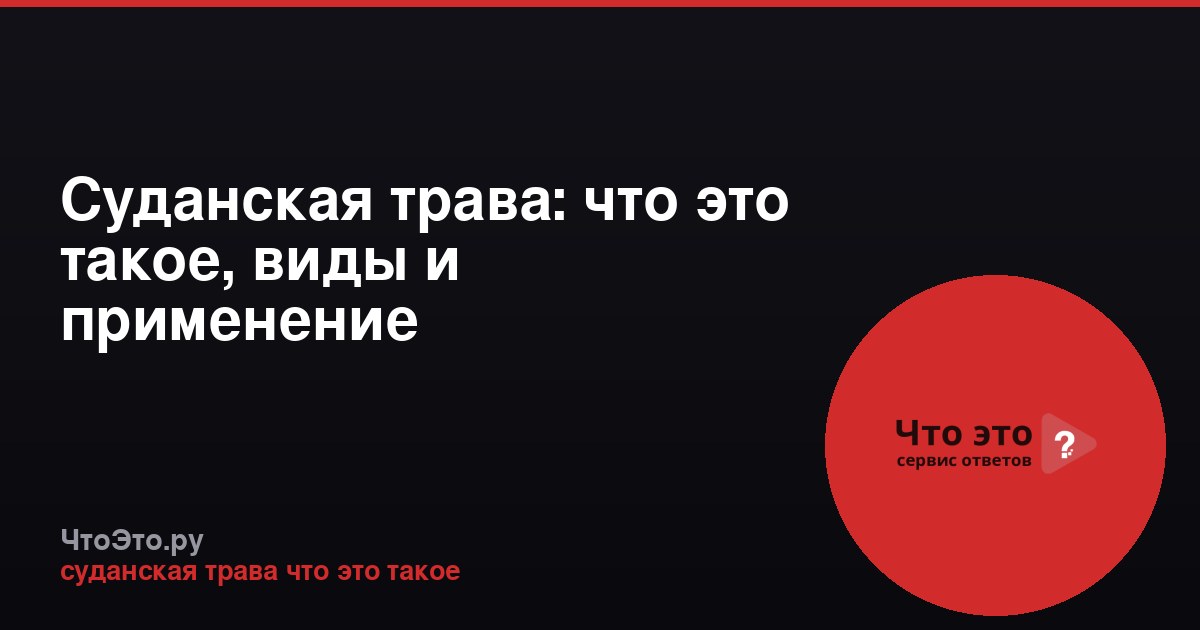 Суданская трава: что это такое, виды и применение