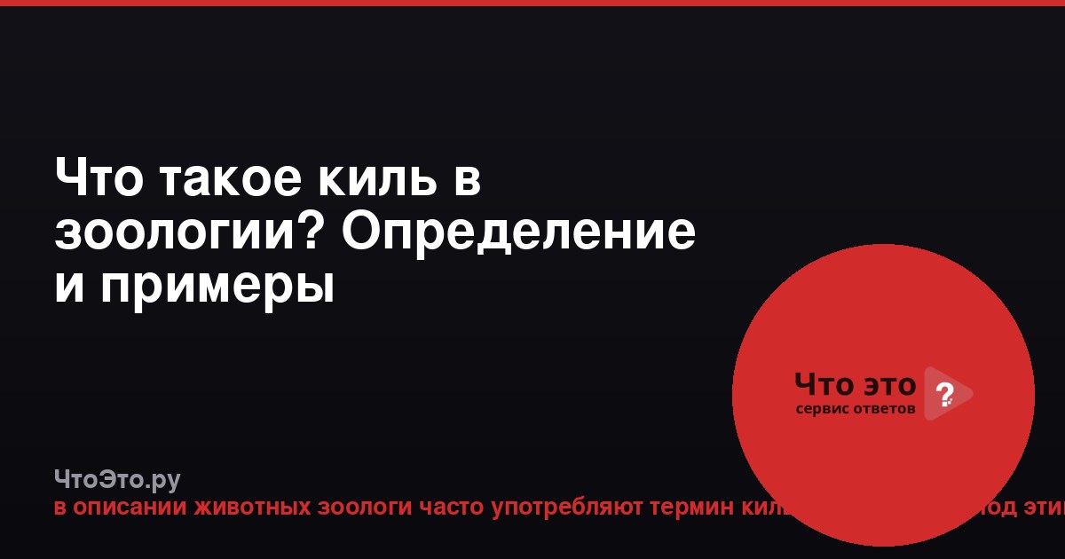 Что такое киль в зоологии? Определение и примеры