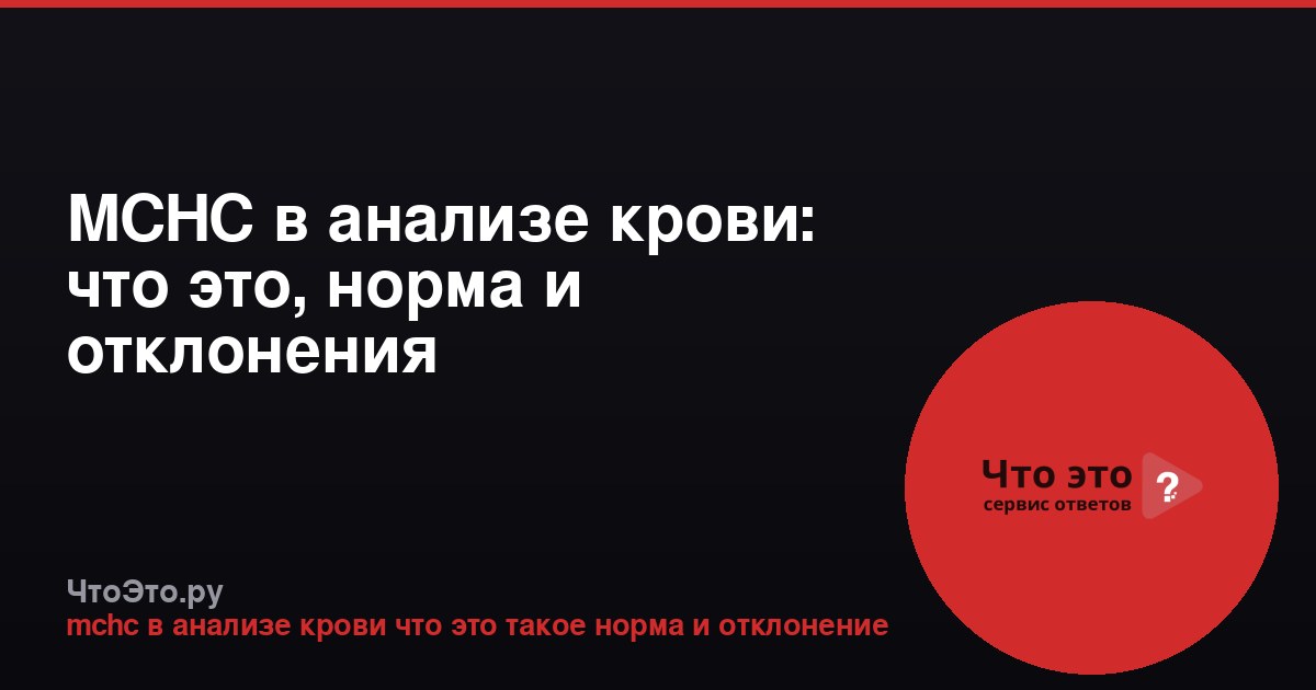 MCHC в анализе крови: что это, норма и отклонения