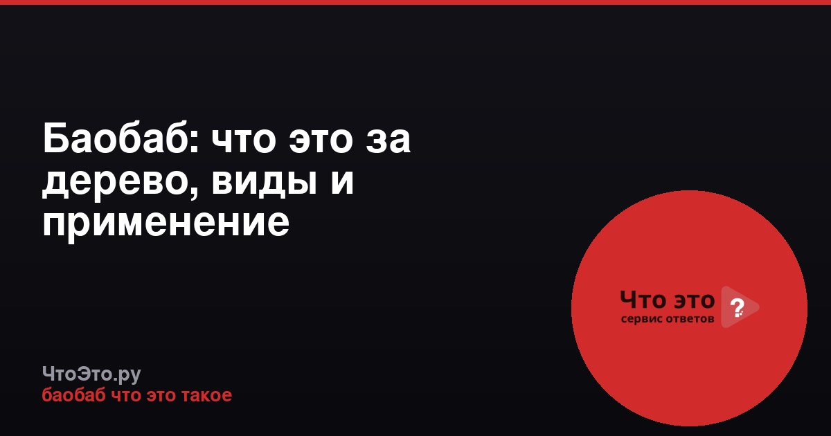 Баобаб: что это за дерево, виды и применение