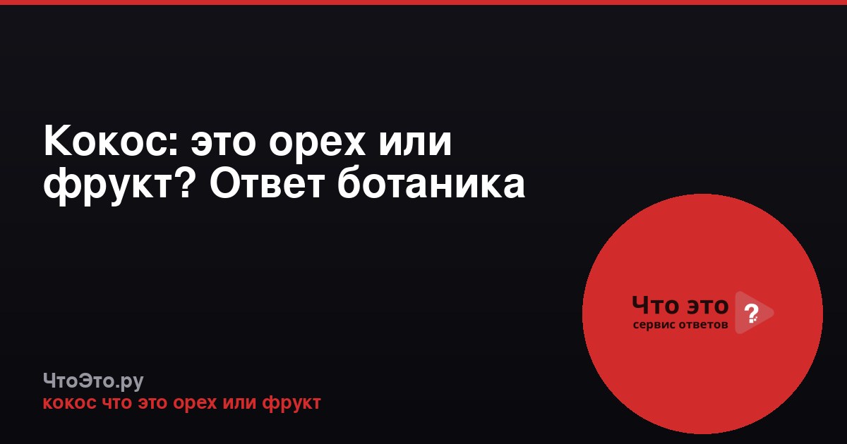 Кокос: это орех или фрукт? Ответ ботаника