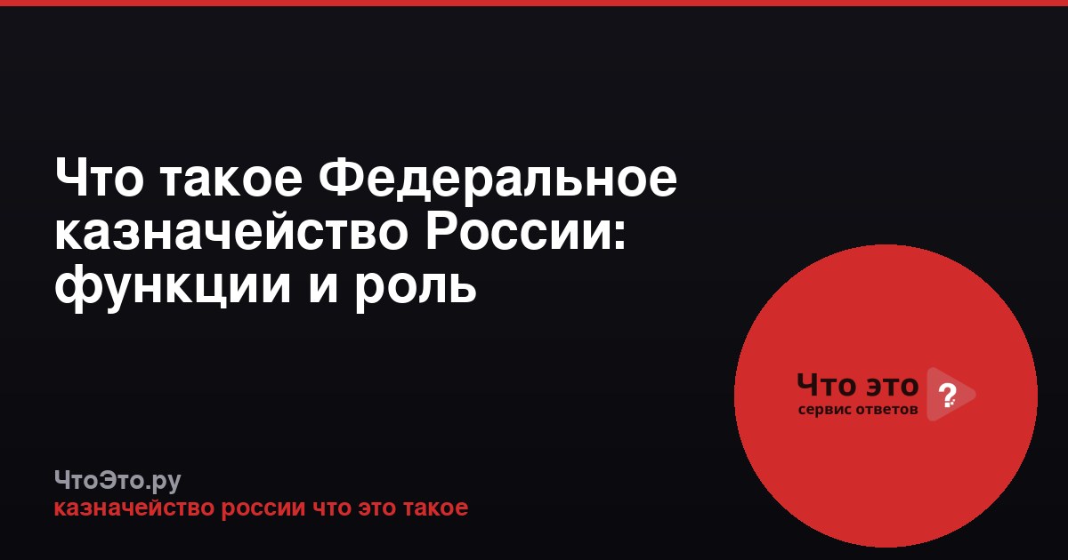 Что такое Федеральное казначейство России: функции и роль
