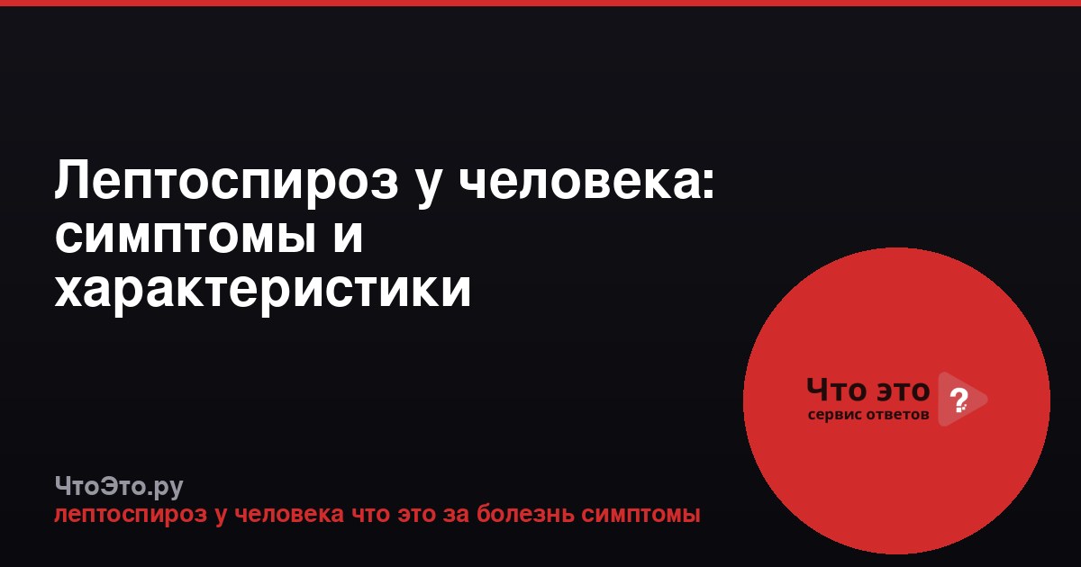 Лептоспироз у человека: симптомы и характеристики