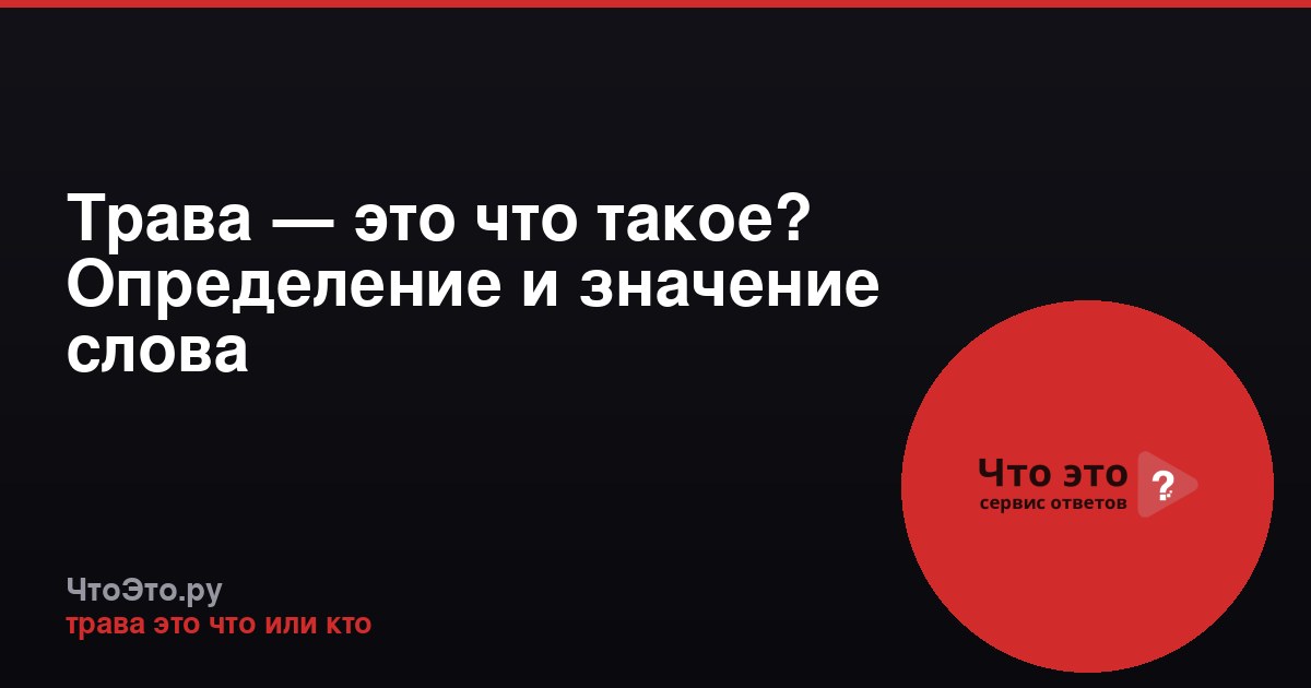 Трава — это что такое? Определение и значение слова