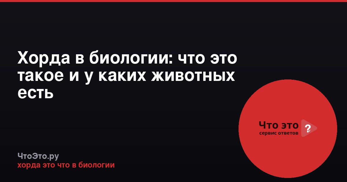 Хорда в биологии: что это такое и у каких животных есть