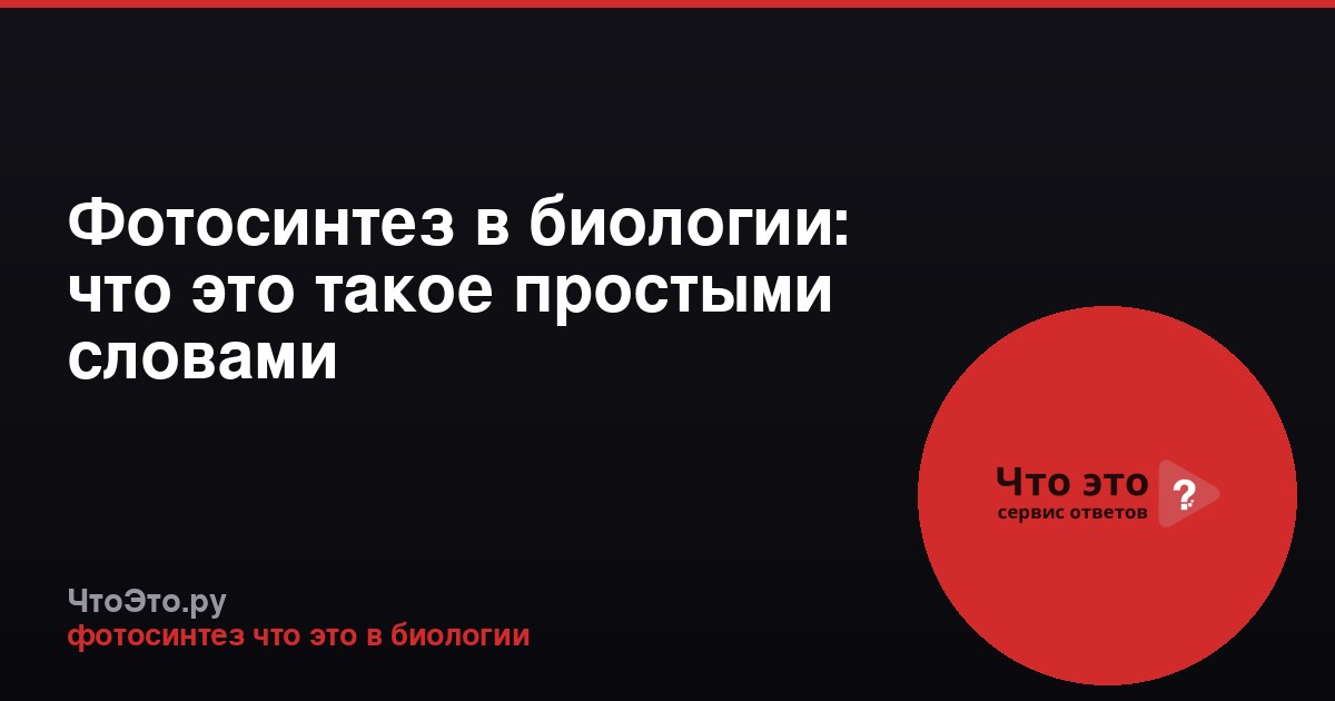 Фотосинтез в биологии: что это такое простыми словами