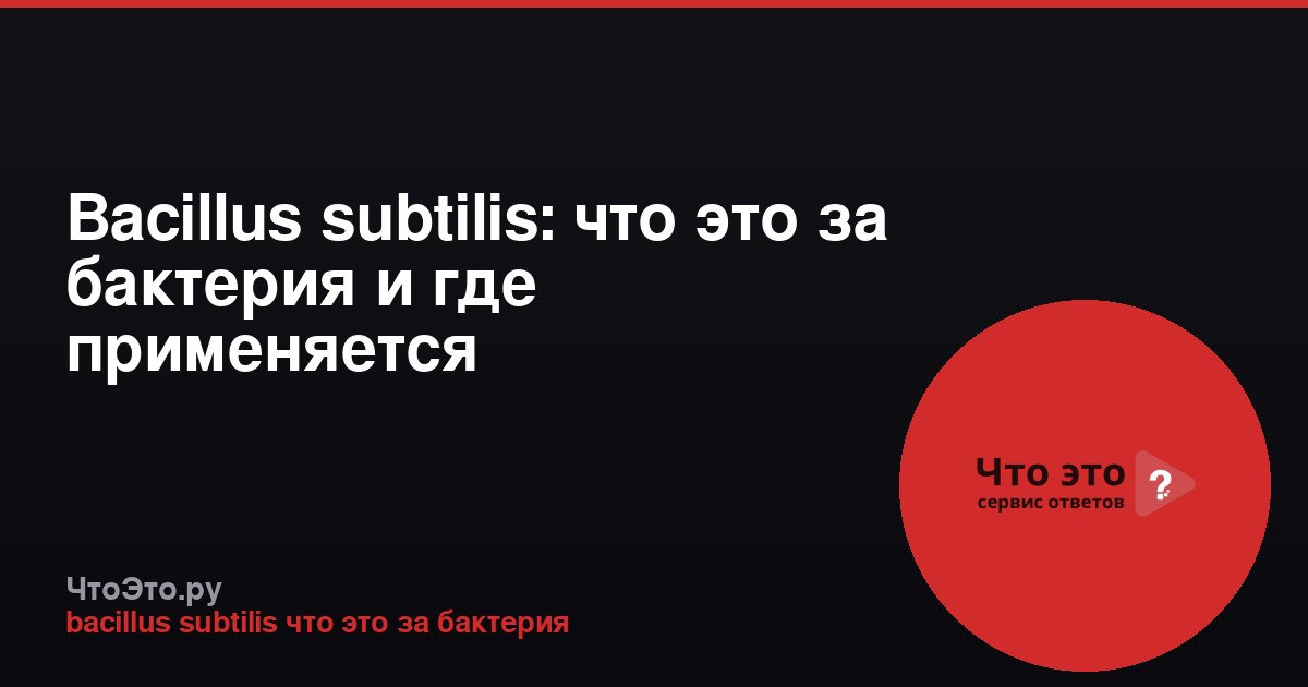 Bacillus subtilis: что это за бактерия и где применяется