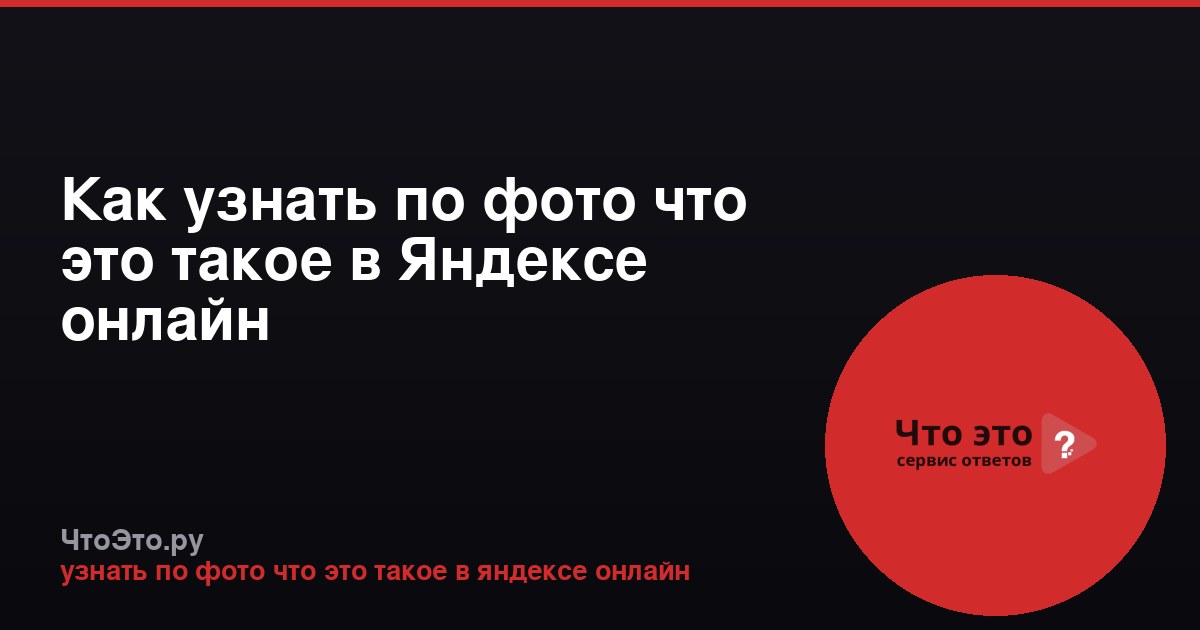 Как узнать по фото что это такое в Яндексе онлайн