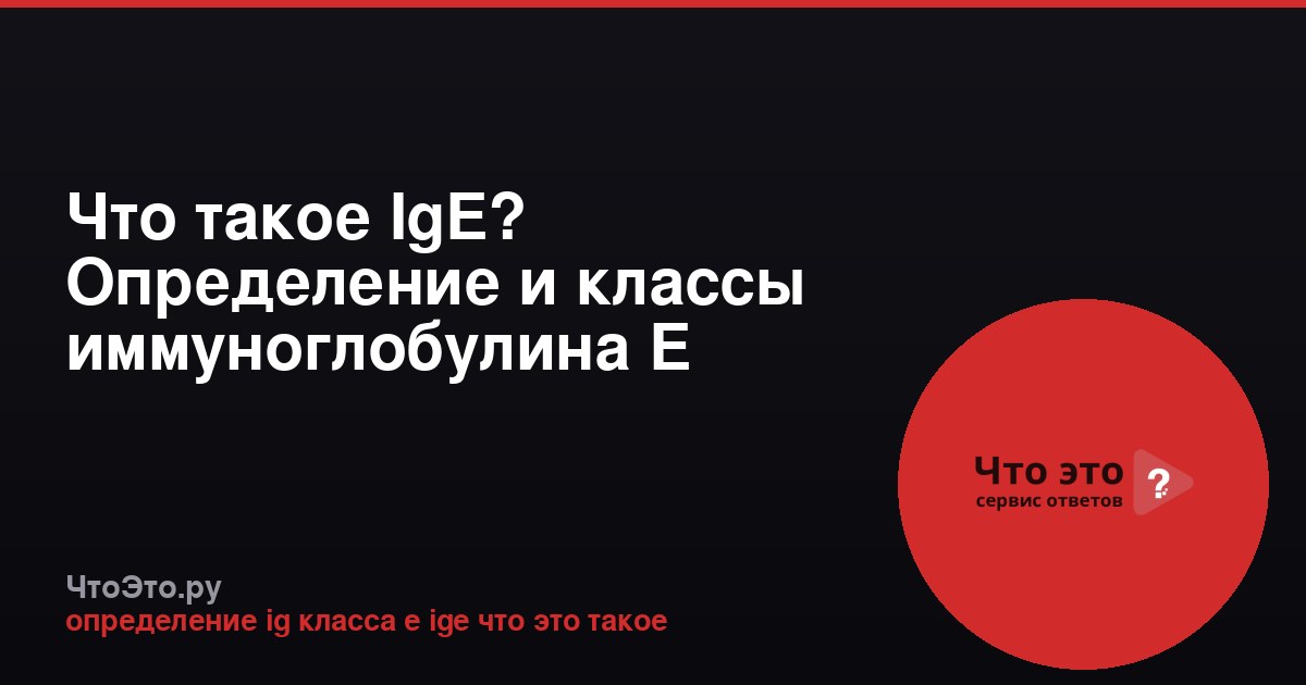 Что такое IgE? Определение и классы иммуноглобулина E