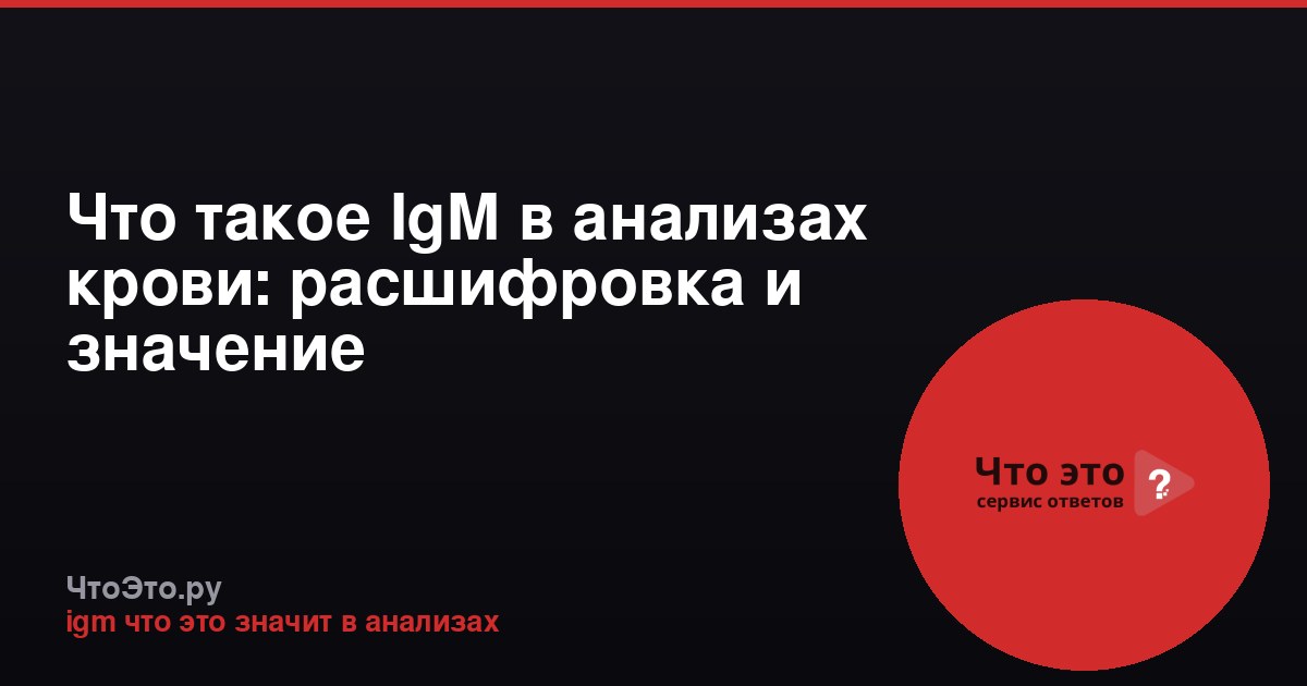 Что такое IgM в анализах крови: расшифровка и значение