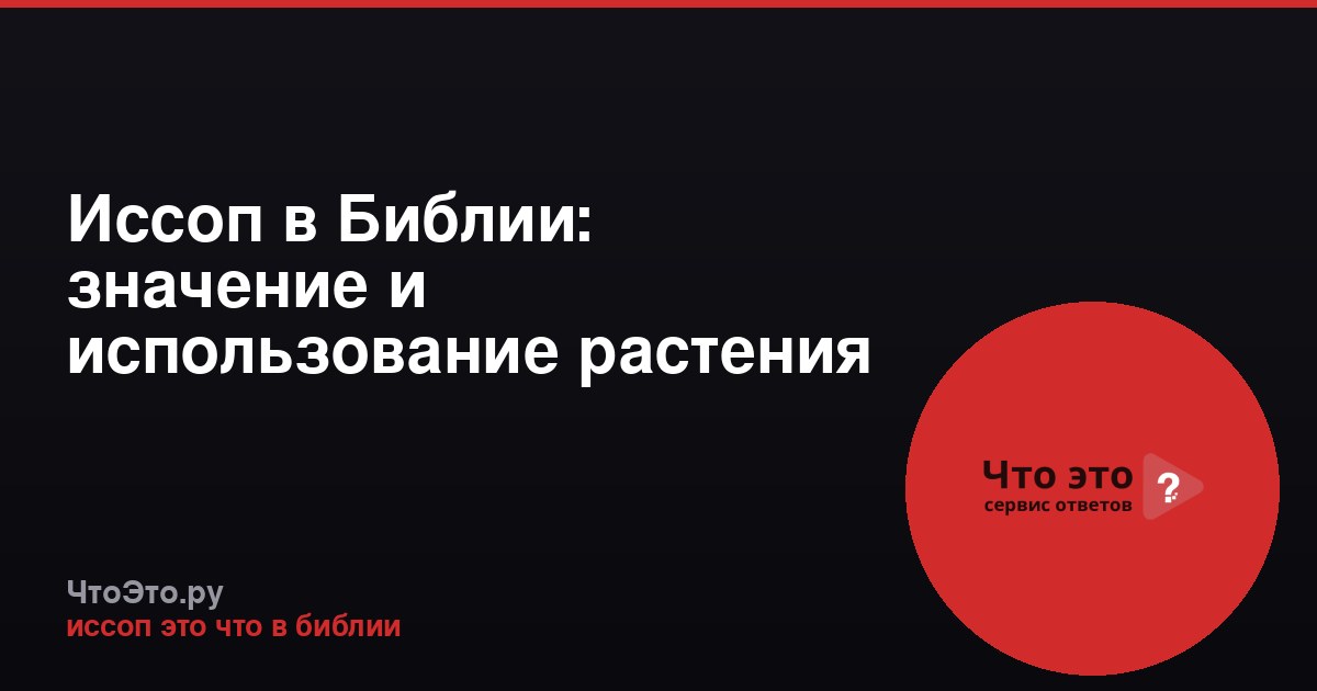 Иссоп в Библии: значение и использование растения