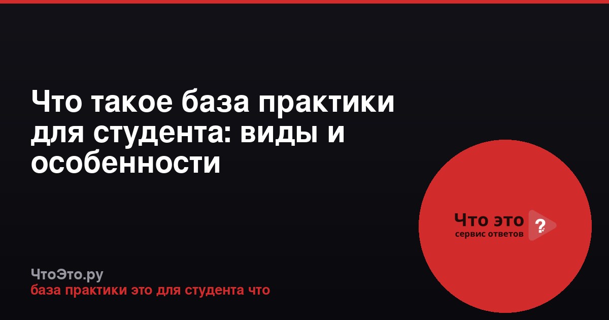 Что такое база практики для студента: виды и особенности